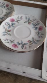 Bramble Rose duchess saucers
