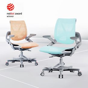Ergonomic Chair HINOMI Zee v2 Study for Kids