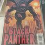 Black Panther (2005) lot Image 2