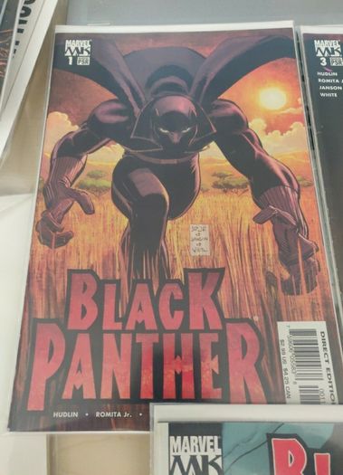 Black Panther (2005) lot