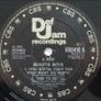 Beastie Boys. Rare fight for your right to party 12 inch picture sleeve in great condition Image 3