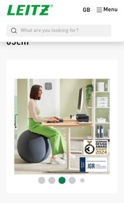 Leitz sitting / pregnancy ball with handle