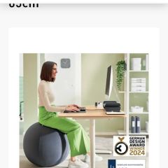 Leitz sitting / pregnancy ball with handle