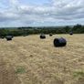 Silage Bales Image 3