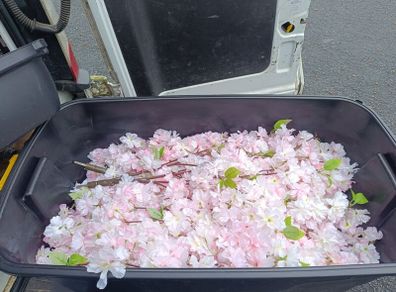 pink blossom branches x20