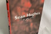 Sean Hughes - The Grey Area