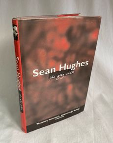 Sean Hughes - The Grey Area