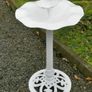 Old Bird feeder with bird Image 4