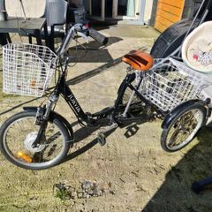 Trike Battery