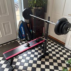 Bench and Dip Station, with Weights