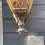 lanterans Image 6