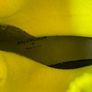 Balenciaga Speed Trainer Mid Neon Fluo Yellow 506344W05G07320 Image 5