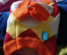 dog bed med size also dog jumpers small dog
