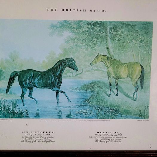 Antique oak framed trio of "The British Stud" prints