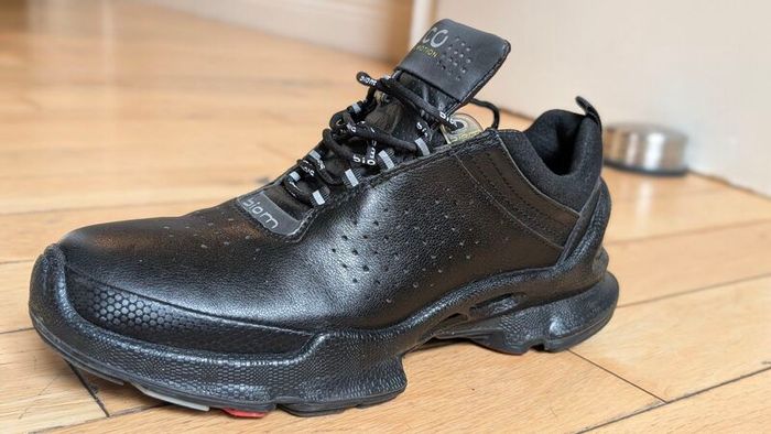 Ecco Biom C