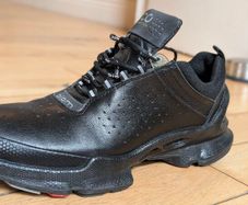 Ecco Biom C