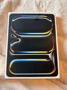 IPad Pro 13 inch M4 256gb