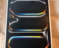 IPad Pro 13 inch M4 256gb