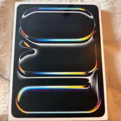 IPad Pro 13 inch M4 256gb