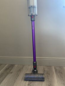 Dyson v11 animal