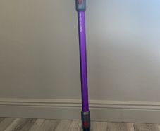 Dyson v11 animal