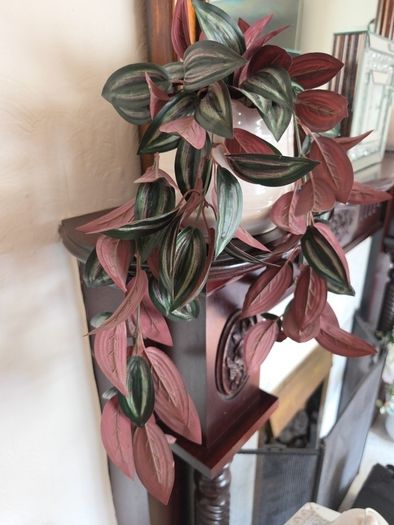 trailing artificial plant