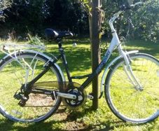 Ladies Bicycle