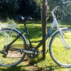 Ladies Bicycle