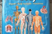 The Body Book Organs Body Systems Functions