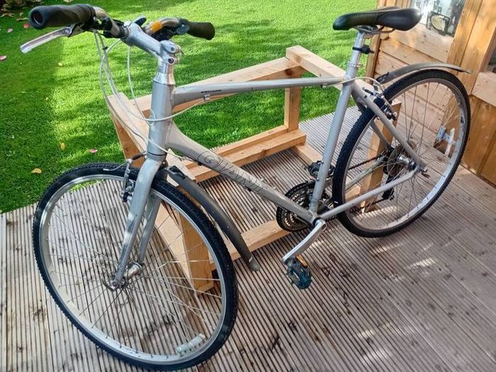 adults bike