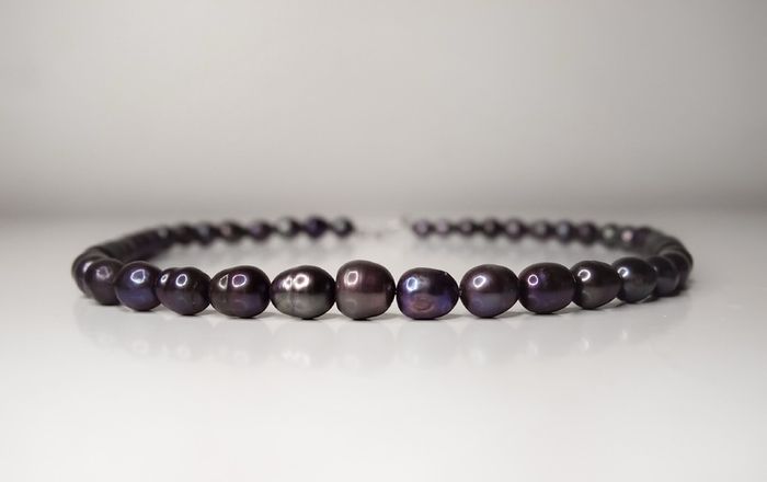 Peacock/black pearls necklace with sterling silver clasp