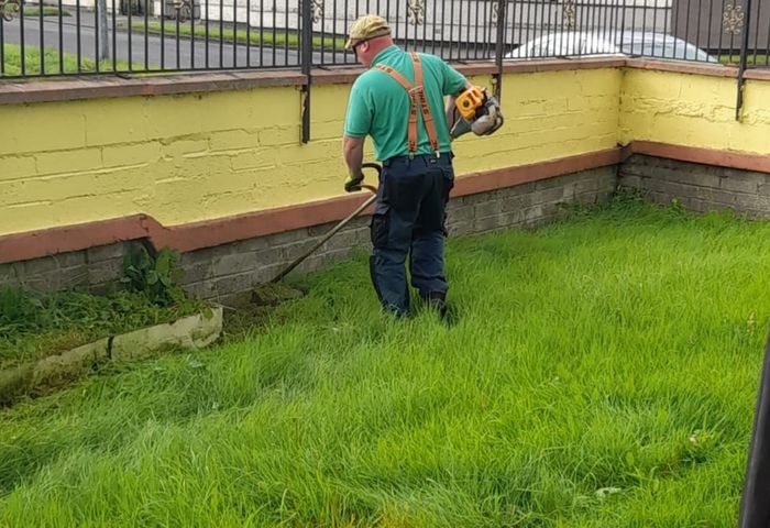 lawn care landscape and garden services