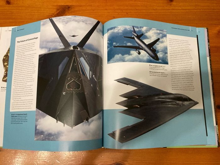 'Camouflage' by Tim Newark