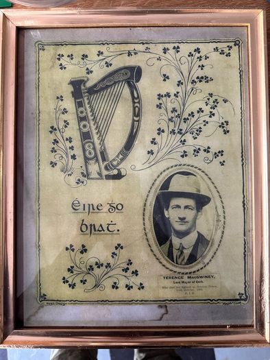 Terrance McSweeney Picture