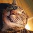 Chofaigh