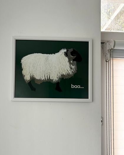 Blackface Mountain Sheep Achill, 2D framed 16 x 12 inch