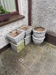 Stone plant pot for free x 6