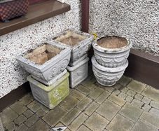Stone plant pot for free x 6