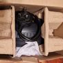 Ambiano Electric Omelette Maker, Never Used Image 10