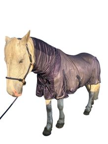 equestrian
