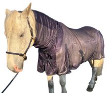 equestrian