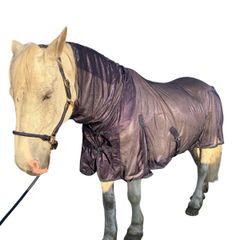 equestrian