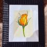 Original Watercolour paintings - 15 euro each Image 2