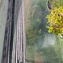 Panes of glass Image 4