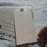 31 Edwardian Irish Shipping Labelsl(Mint Condition) Image 3