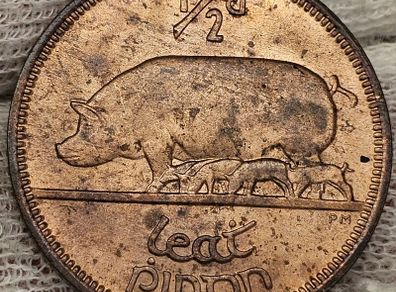 Ireland 1966 1/2d Halfpenny Beautiful Uncirculated Lustrous
