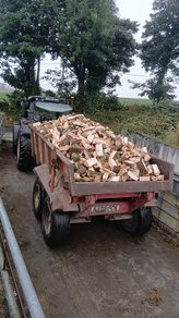 Firewood