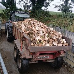 Firewood
