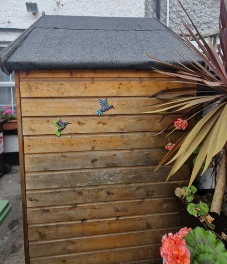 Timber Garden Shed