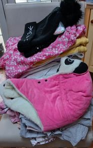 Girls Bundle age 11-12
